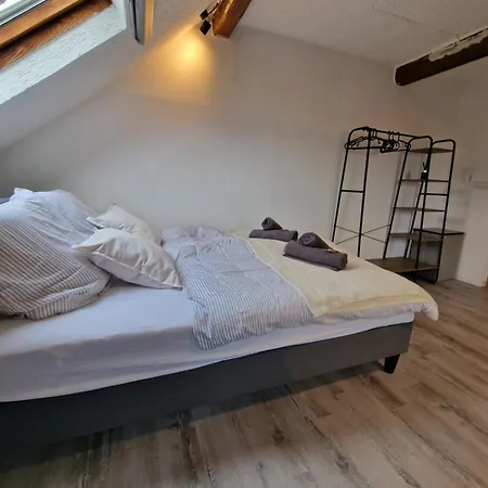 公寓 Haus Innenstadt Bleser 萨尔堡