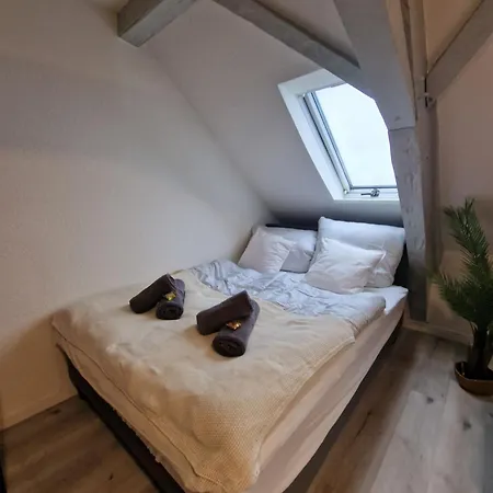 Haus Innenstadt Bleser 公寓 萨尔堡