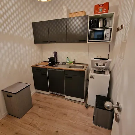 Haus Innenstadt Bleser 公寓 *