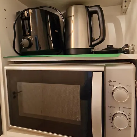 Haus Innenstadt Bleser 公寓 萨尔堡