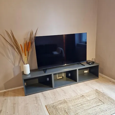 公寓 Haus Innenstadt Bleser 萨尔堡