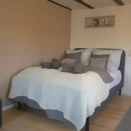 公寓 Haus Innenstadt Bleser