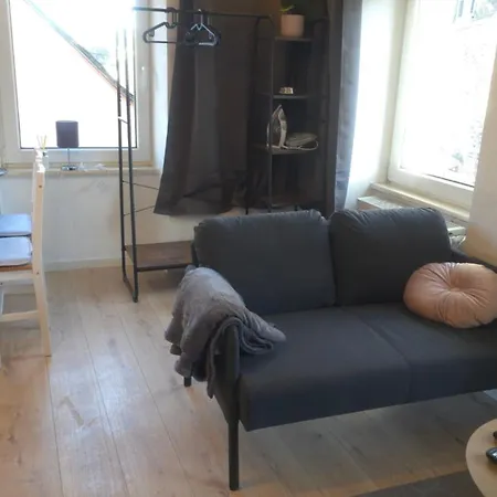 Haus Innenstadt Bleser 萨尔堡