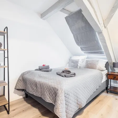 Haus Innenstadt Bleser 萨尔堡