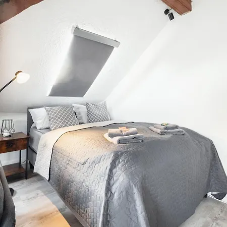 Haus Innenstadt Bleser 公寓 萨尔堡