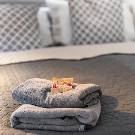 Haus Innenstadt Bleser 萨尔堡