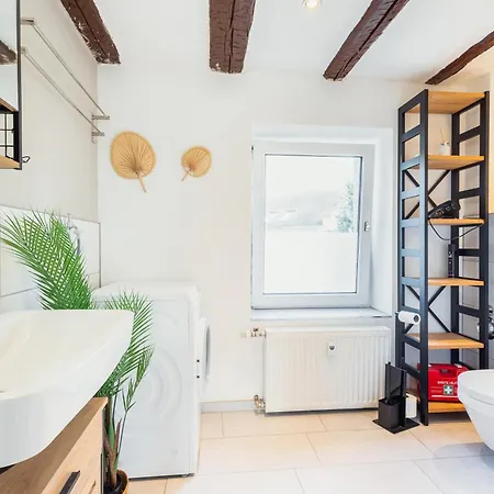 Haus Innenstadt Bleser 公寓 *