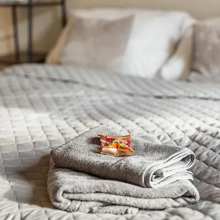 Haus Innenstadt Bleser * 萨尔堡