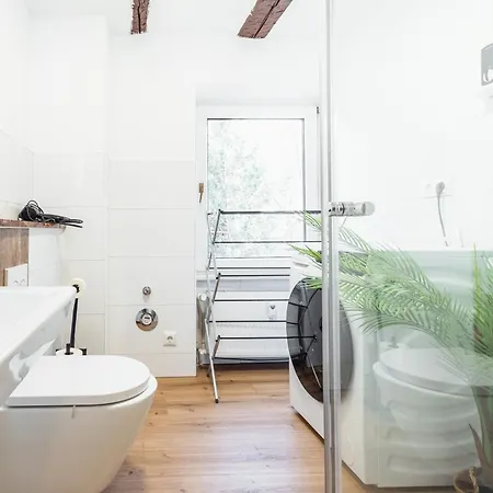 Haus Innenstadt Bleser 公寓 萨尔堡