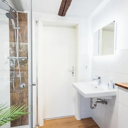 Haus Innenstadt Bleser 萨尔堡