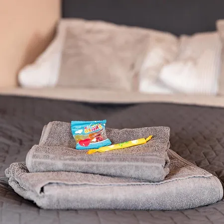 Haus Innenstadt Bleser