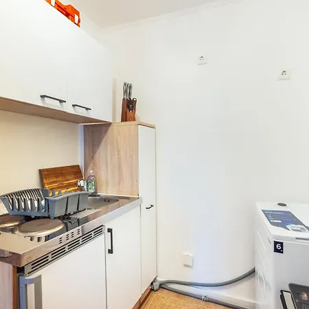 Haus Innenstadt Bleser 公寓 萨尔堡