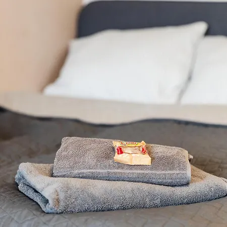 Haus Innenstadt Bleser * 萨尔堡